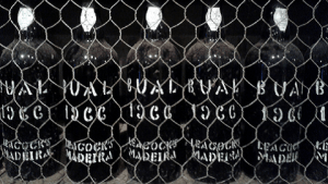 Musee Vin de Madere Funchal (1)