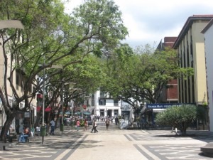 Rue de Funchal a Madere