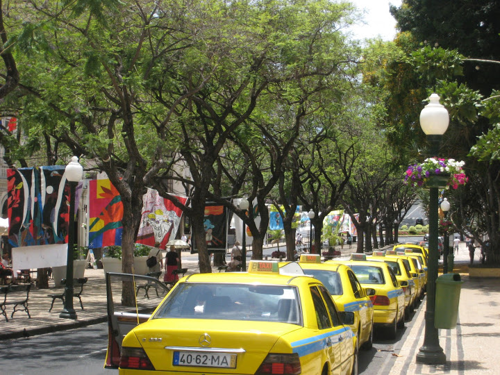 File de Taxis à Funchal
