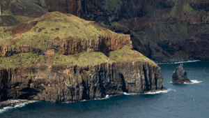 Zimbralinho Porto Santo