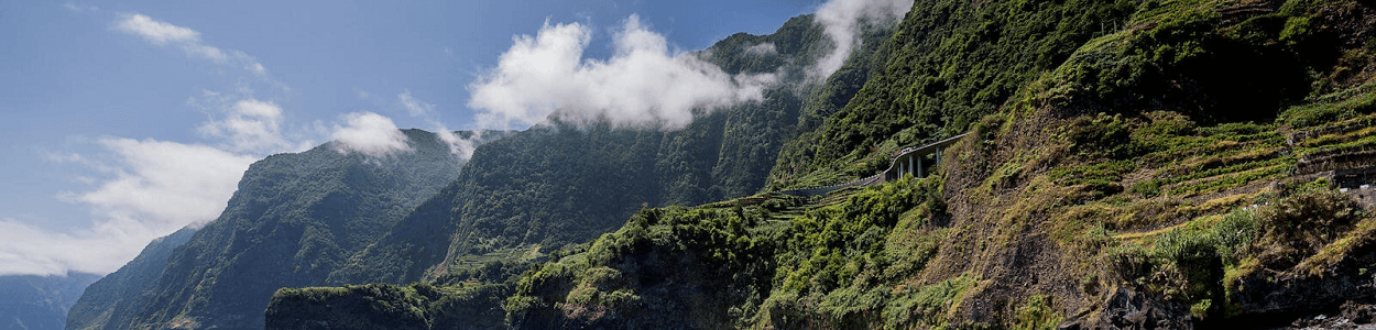 Jardin Botanique Funchal Monte Madere