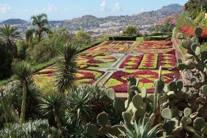 Jardin Botanique Funchal Monte Madere