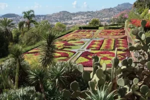Jardin Botanique Funchal Madere