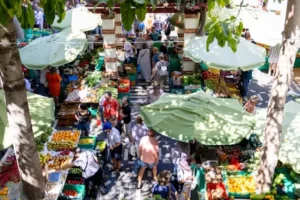 Marche agriculteurs Funchal