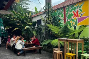 Auberge de Jeunesse Madere Jaca Porto Da Cruz 2